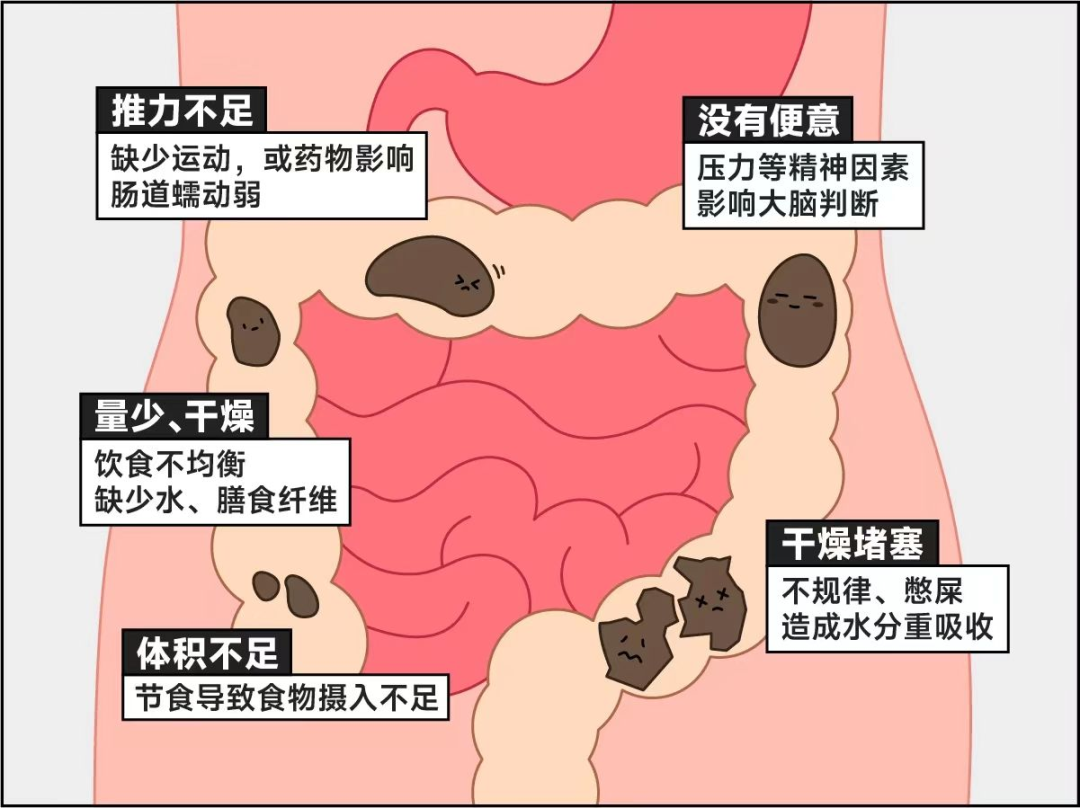 微信圖片_20241230092919.png